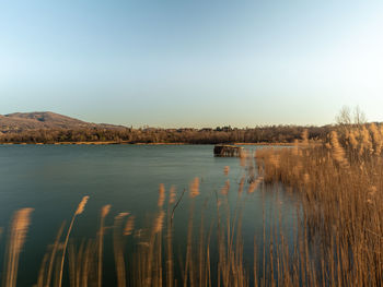 Scenic view of lake against clear sky