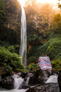 Scenic view of waterfall in forest