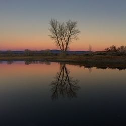 Reflection of bare trees on calm lake against sky during sunset