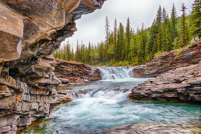 Scenic view of waterfall in forest