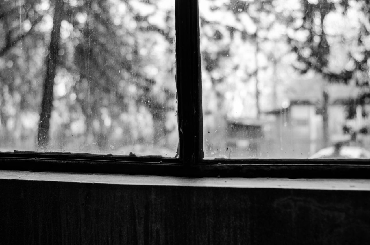 CLOSE-UP OF BARE TREE SEEN THROUGH WINDOW