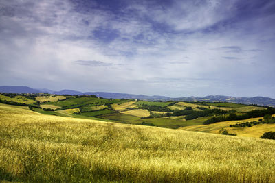 Scenic view of landscape against sky