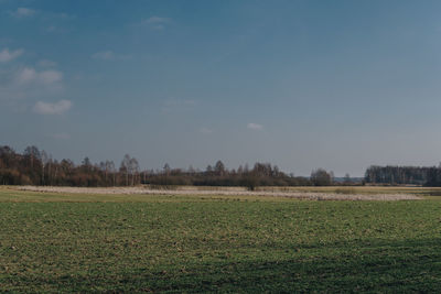 Scenic view of field against sky