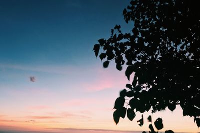 Low angle view of silhouette tree against sky at sunset