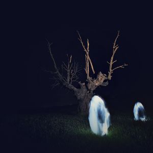 Digital composite image of illuminated trees on field against sky at night