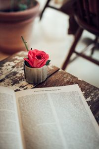 Close-up of red rose on table