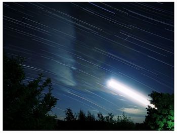 Low angle view of silhouette trees against sky at night