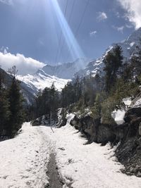 Snow covered plants and mountains against sky