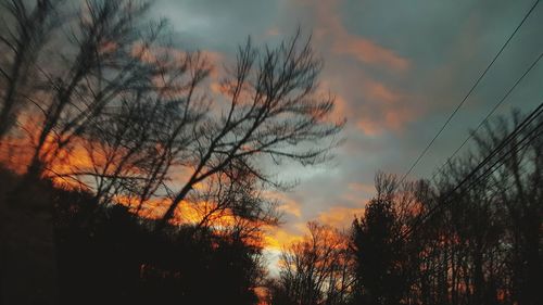 Silhouette trees against sky during sunset