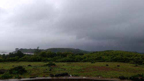 Scenic view of field against sky