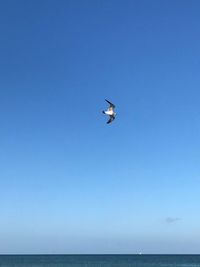 Low angle view of flying over sea against clear blue sky