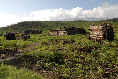 Scenic view of field against sky