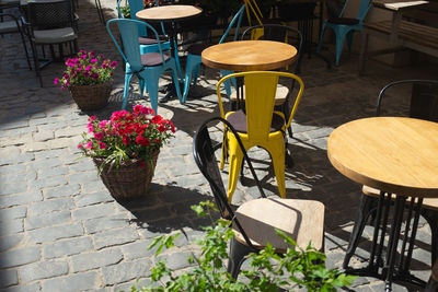 Potted plants and chairs at sidewalk cafe