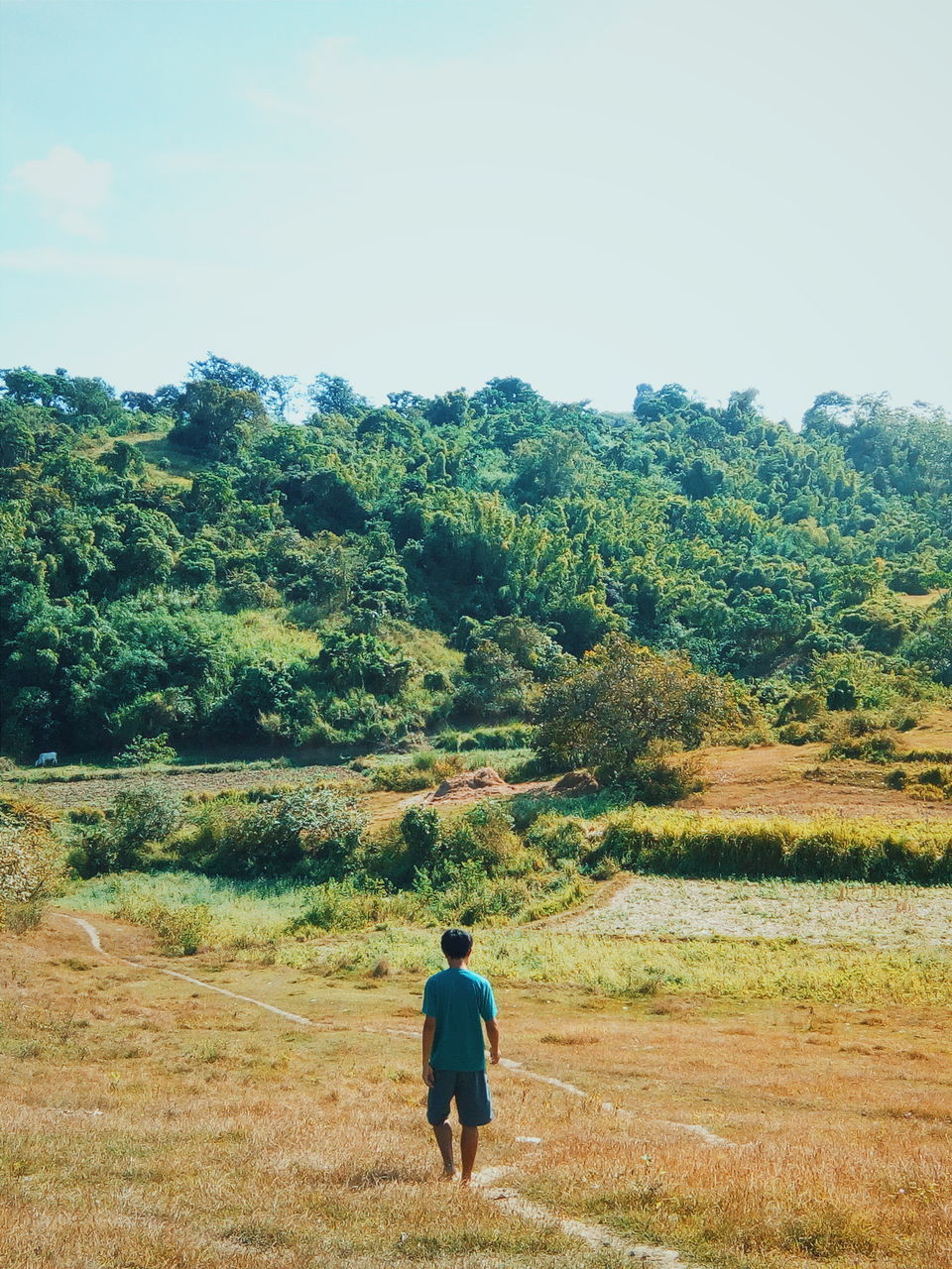 FULL LENGTH REAR VIEW OF MAN WALKING ON FIELD