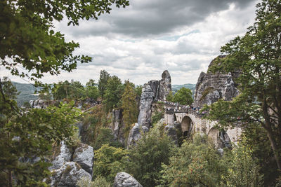 Trees and plants growing on rocks against sky