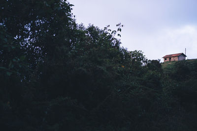 Low angle view of trees and building against sky