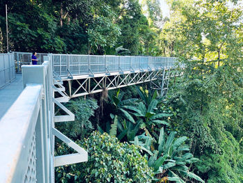 Bridge in forest