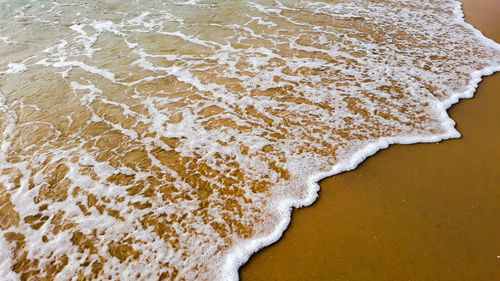 High angle view of surf on beach