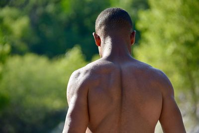 Rear view of shirtless man with water drops