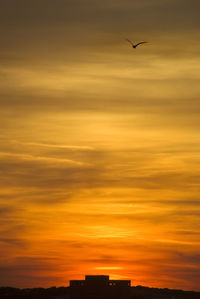 Silhouette bird flying against dramatic sky during sunset