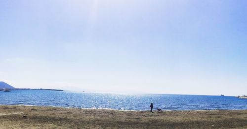 Man standing on beach against clear blue sky