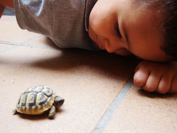 Close-up of boy looking at turtle