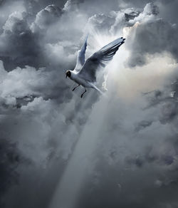 Low angle view of seagulls flying against sky