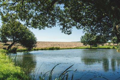 Scenic view of lake against clear sky