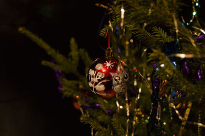 Close-up of christmas tree