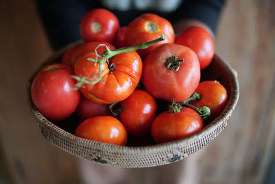 Close-up of hand holding tomatoes