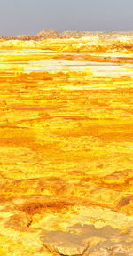Close-up of yellow orange sky