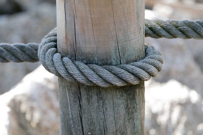 Close-up of rope tied to wooden post