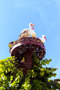 Low angle view of statue against clear blue sky