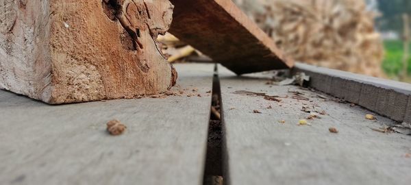 Close-up of rusty metal on wood