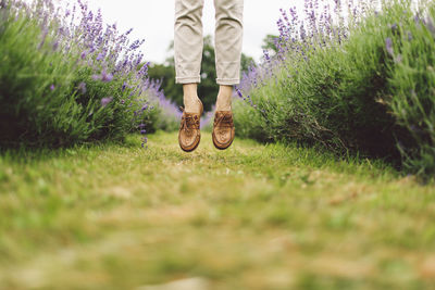 Low section of a person jumping between lavender rows 
