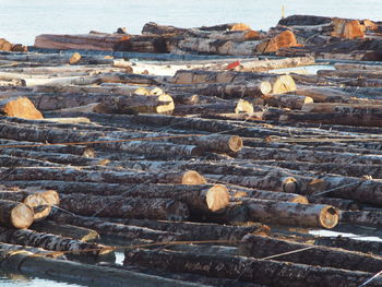 High angle view of logs on land
