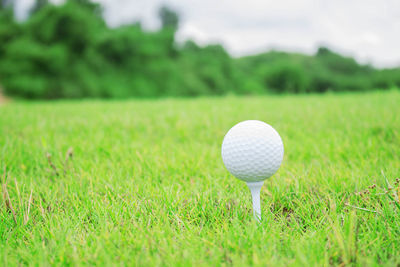 Close-up of ball on grass