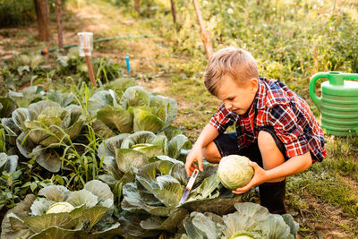 Boy holding ice cream in farm