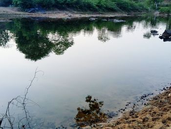 Reflection of trees on lake