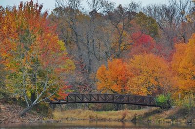 Scenic view of trees during autumn