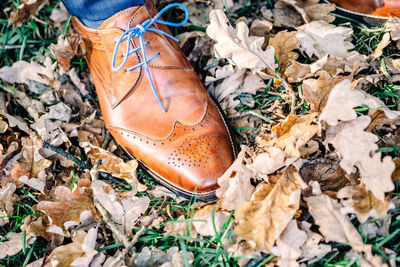 Low section of man on autumn leaves