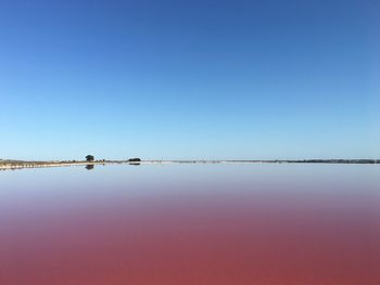 Scenic view of pink salt lake against clear blue sky