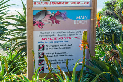 Close-up of information sign against plants