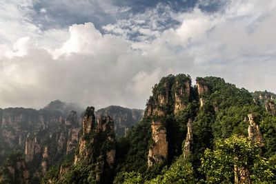 Panoramic view of trees and mountains against sky