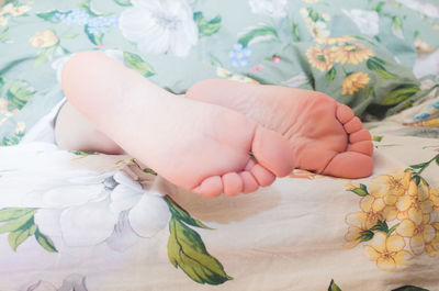 Close-up of hand holding flowers