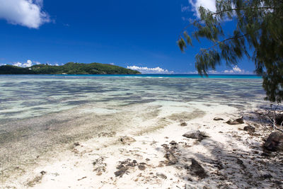 Scenic view of beach against blue sky