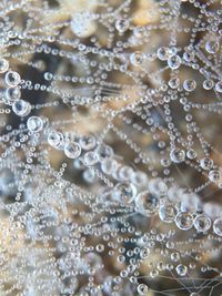 Close-up of water drops on glass