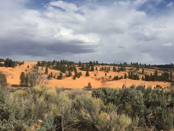 Scenic view of landscape against sky