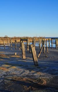 Wooden posts on beach against clear blue sky