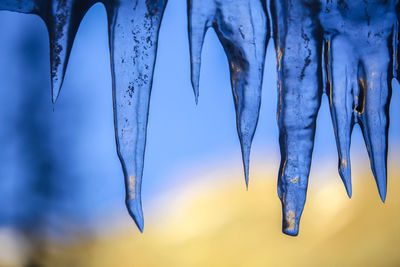 Close-up of icicles hanging against blue sky